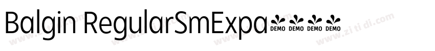 Balgin RegularSmExpa字体转换
